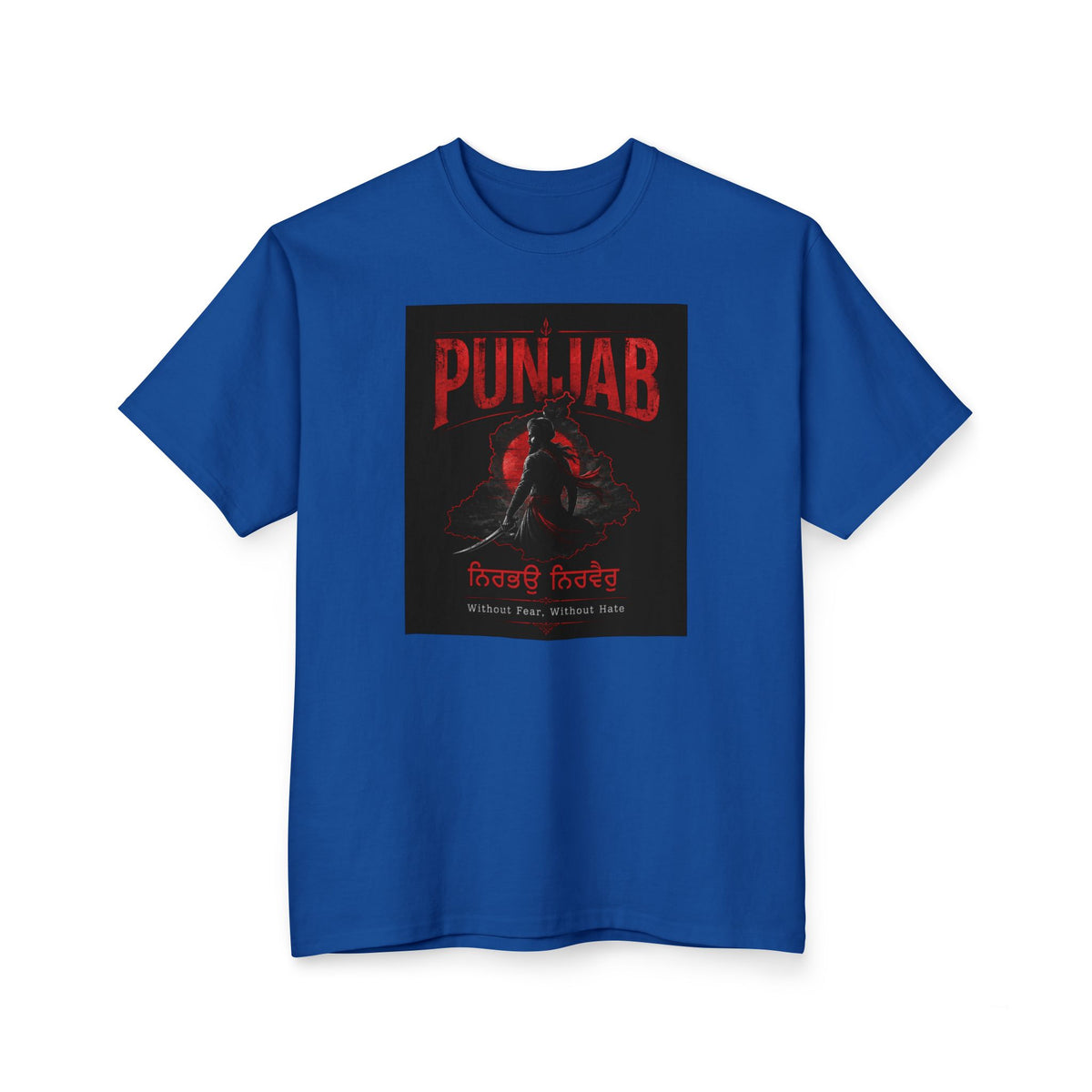 A big  Punjab Rider Graphic T-Shirt — Red Skull Motorcycle Design